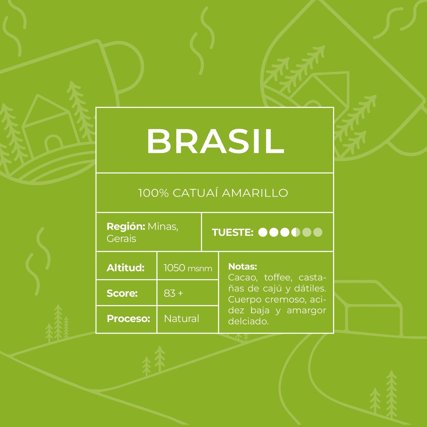 VILLA DORA BRASIL